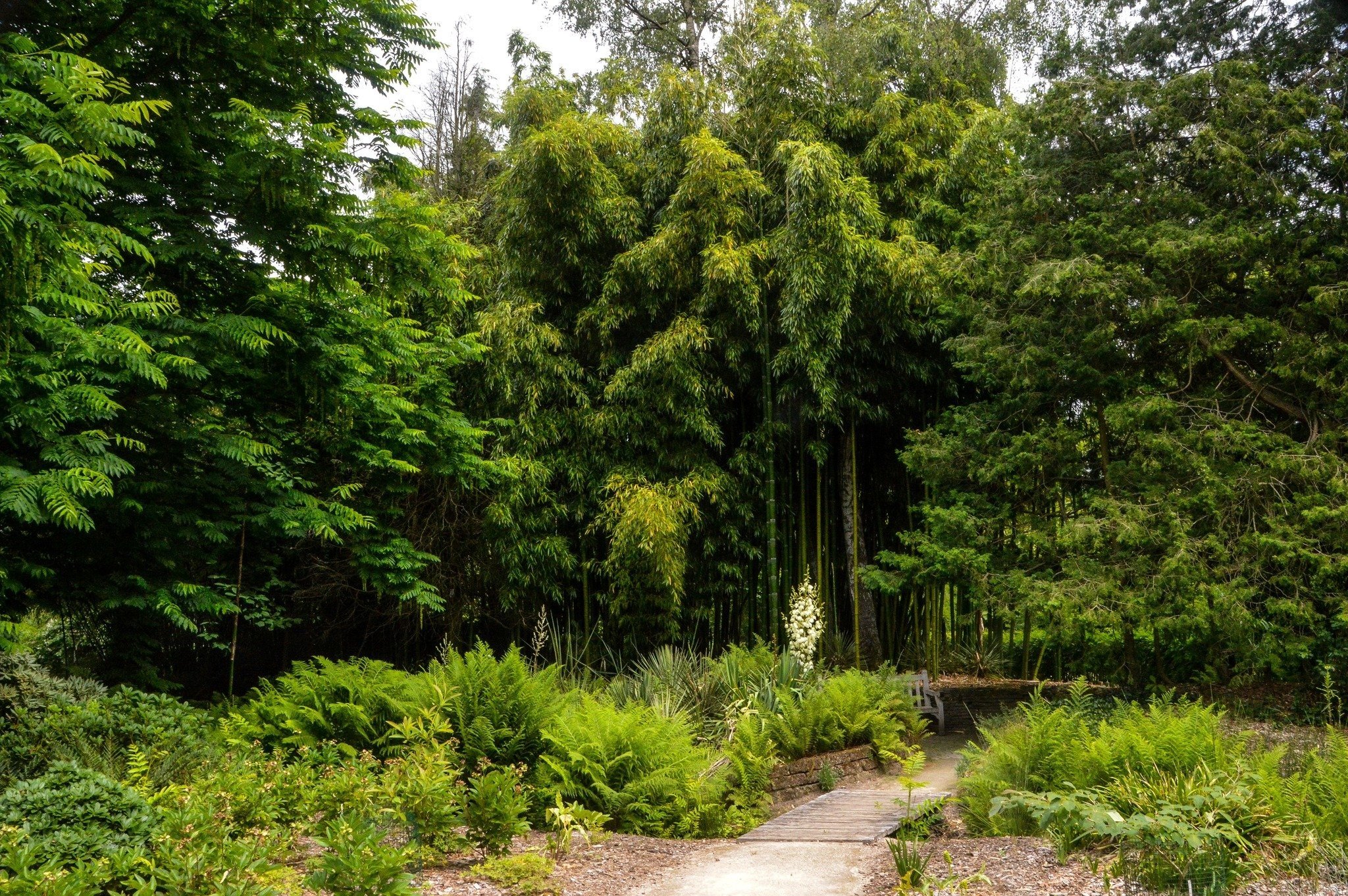 Arboretum Landgut Bokrijk