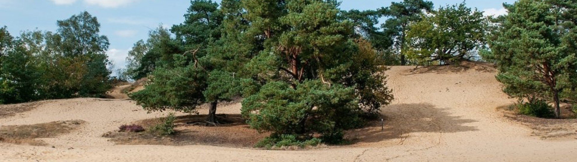 Grote landduin door kris thijs